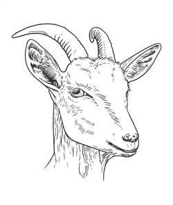 icone chèvre noir sur fond transparent
