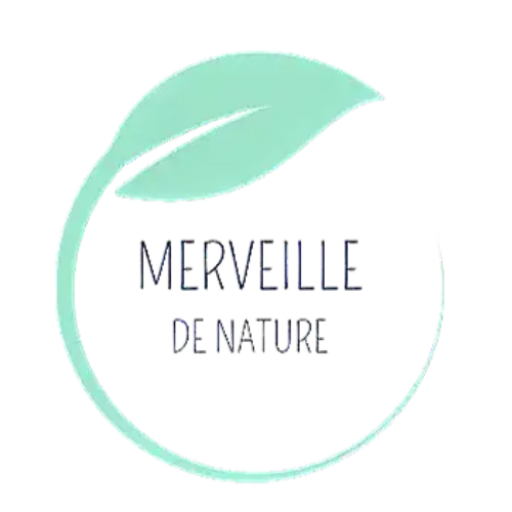 pierre naturelle certifiée Savon Alep et lait anesse