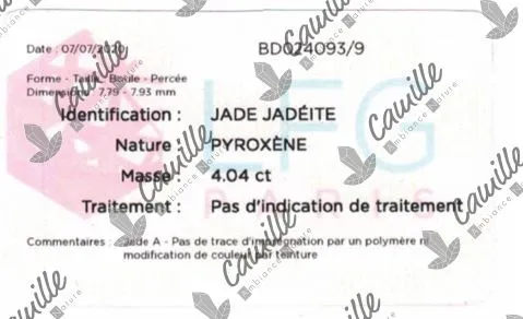 rapport authenticite pour le bracelet jade de chine du laboratoire français de gemmologie