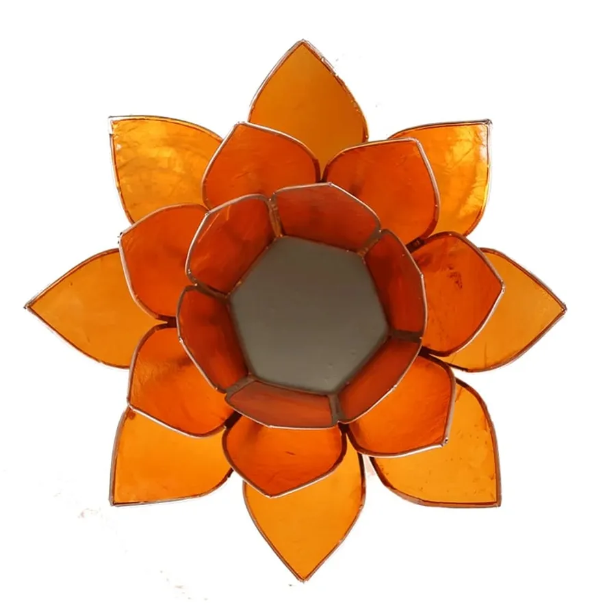 fleur de lotus orange 1