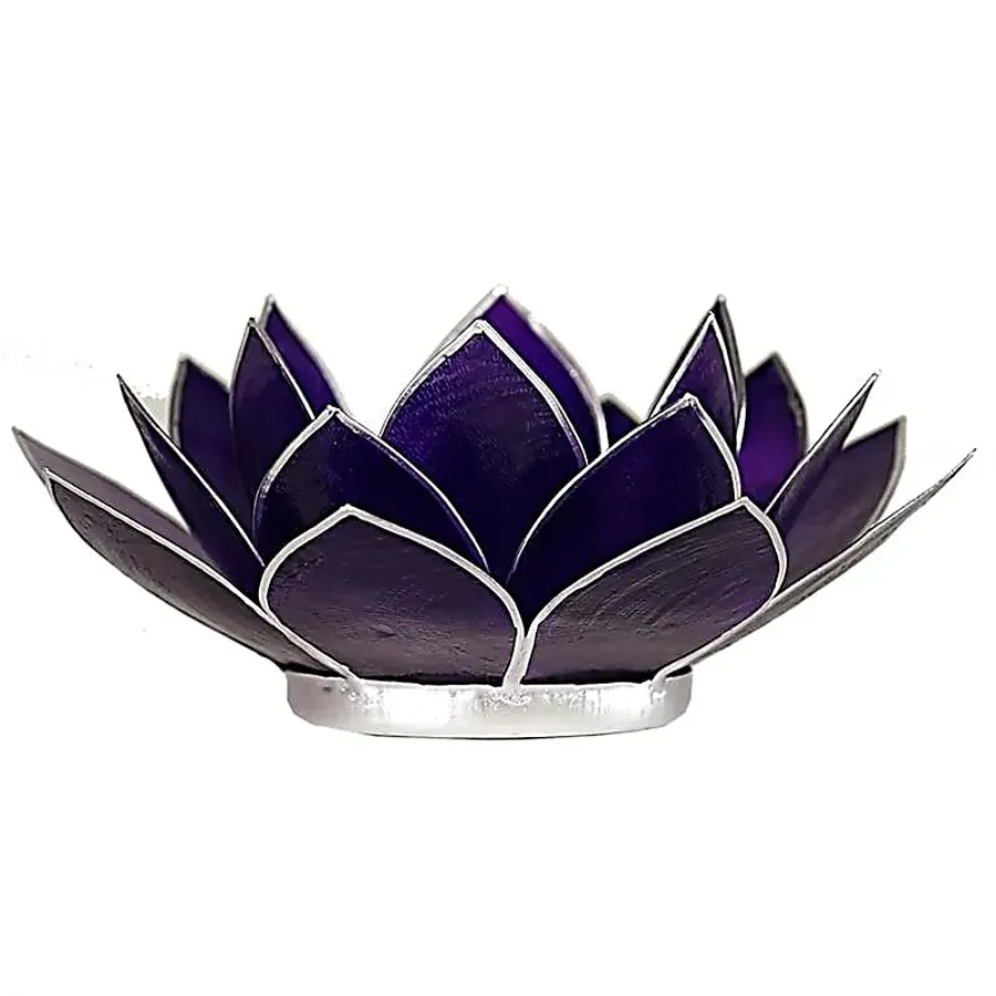 fleur de lotus violet 1