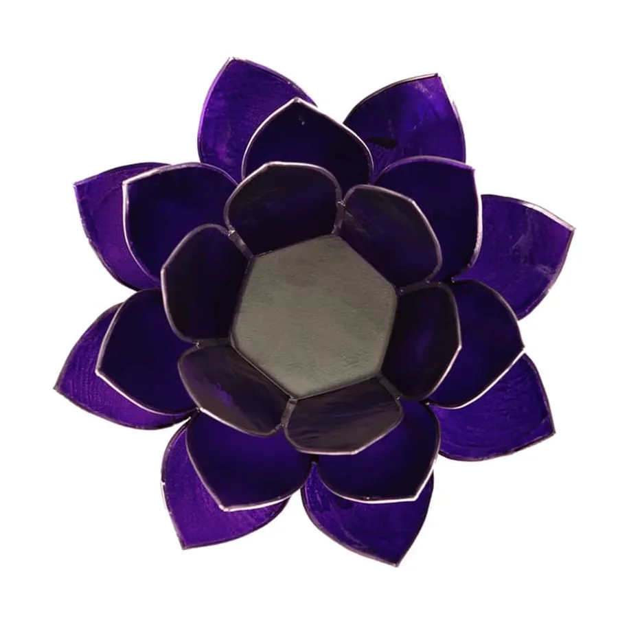 fleur de lotus violet 2