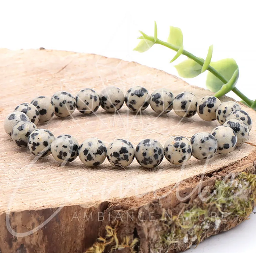 bracelet jaspe dalmatien 08mm pierre naturelle