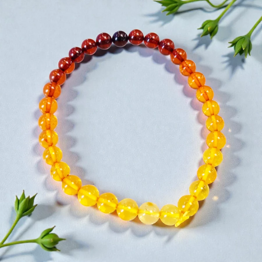 AMBRE BALTIQUE DE LITUANIE