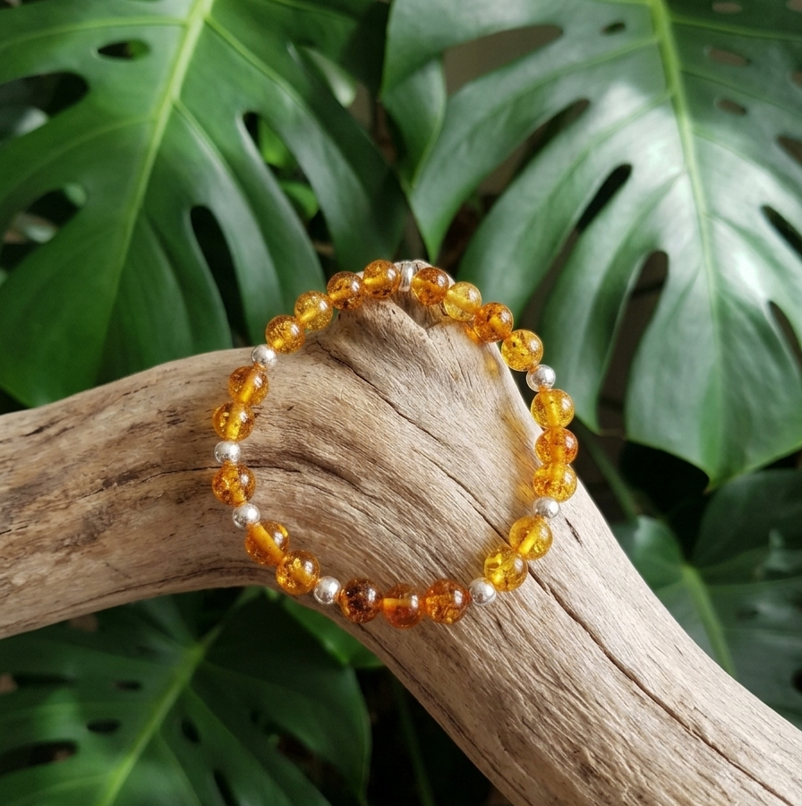 Un bracelet de perles d'ambre rondes et de perles d'argent alterne sur un fil transparent. Le bracelet repose sur une grosse branche de bois flotté rugueuse et texturée. L'arrière-plan est flouté et montre de grandes feuilles vertes de Monstera.