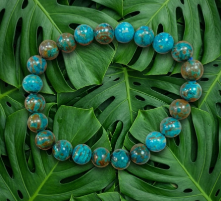 Un bracelet circulaire de perles rondes et lisses de chrysocolle du Congo repose à plat au centre. Les perles sont bleu turquoise moucheté de cuivre et de brun terre. Elles sont disposées sur un lit dense de grandes feuilles de Monstera vert vif, reconnaissables à leurs découpures naturelles.