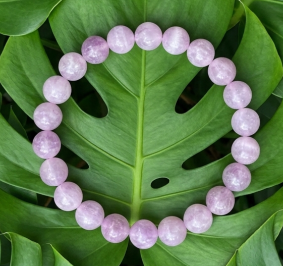 Un bracelet circulaire en Kunzite aux perles rondes et lisses, affichant des nuances douces de rose pâle et de lilas, est posé à plat au centre de grandes feuilles de Monstera vertes et brillantes. Le contraste entre les tons pastels des pierres et le vert profond du feuillage exotique crée un visuel naturel et apaisant.
