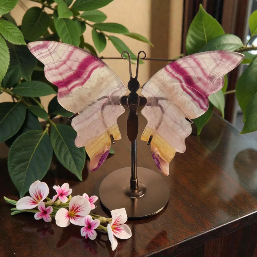 papillon fluorine Rainbow transparente couleur multiple rose violet jaune