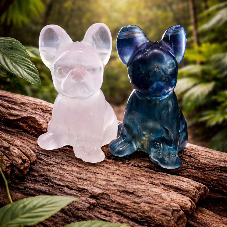 CHIEN FLUORINE AAA 40MM