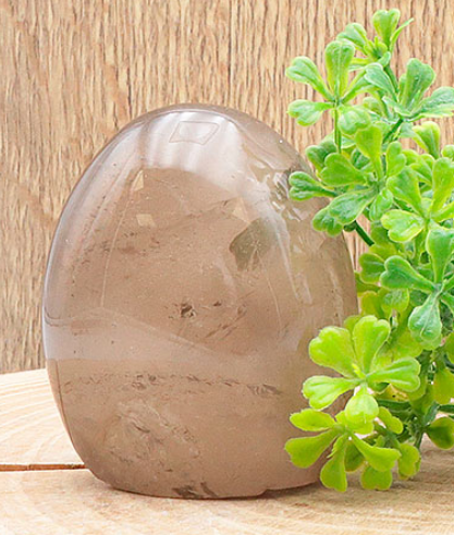 Cette image montre un cristal de roche fumé de forme libre et polie, d'une hauteur de 100mm. La pierre présente une belle transparence avec des nuances allant du gris clair au brun fumé, révélant des inclusions naturelles à l'intérieur. Elle est posée sur un support en bois clair, accompagnée sur la droite d'une petite plante verte artificielle qui apporte une touche de contraste. L'ensemble est photographié devant un arrière-plan boisé aux tons chaleureux, mettant en valeur l'aspect naturel du minéral.