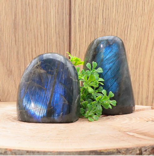 Cette image montre deux pierres de Labradorite de forme libre, polies et brillantes, disposées sur un rondin de bois clair devant un mur en bois. Ces minéraux présentent de superbes reflets bleus irisés et chatoyants caractéristiques. Un petit brin de verdure artificielle est posé entre les deux blocs pour la décoration. Notez que cette photo est donnée à titre d'exemple et n'est pas contractuelle : la forme, la taille et les reflets des pierres peuvent varier.