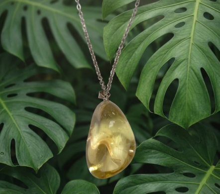 Pendentif en pierre translucide d'un jaune doré chatoyant, en forme de goutte organique. Suspendu à une fine chaîne argentée, il est mis en valeur au centre. L'arrière-plan est un arrangement dense de grandes feuilles de Monstera vert profond aux motifs ajourés. L'éclairage doux sublime la clarté de la pierre contre la texture naturelle du feuillage.