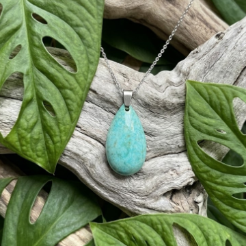 Pendentif en pierre de turquoise naturelle, en forme de larme, suspendu à une fine chaîne argentée au centre de l'image. Le bijou repose sur un morceau de bois flotté texturé d'un gris patiné. L'ensemble est encadré par de grandes feuilles de Monstera vert profond aux motifs découpés caractéristiques. L'éclairage doux souligne les contrastes entre la pierre lisse et les éléments naturels rugueux du décor.