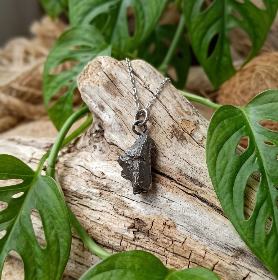 pendentif en météorite pierre brute sombre et métallique, suspendu à une fine chaîne argentée. Le bijou repose délicatement sur un morceau de bois flotté texturé, entouré par les feuilles d'un vert vif d'une plante Monstera. L'ensemble crée un contraste naturel et élégant entre l'aspect brut du minéral et la douceur de la végétation.
