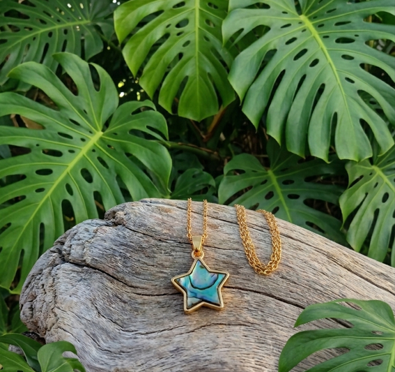 Un pendentif en nacre d'ormeau en forme d'étoile avec un placage or repose sur un bois flotté, entouré de grandes feuilles de monstera.