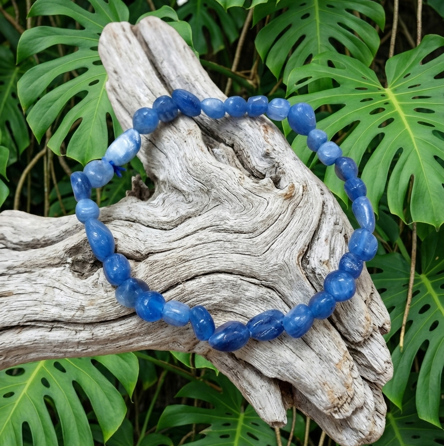 Cette image présente un bracelet en perles de pierres cyanite, posé en premier plan sur un morceau de bois flotté texturé et blanchi. L'ensemble s'détache sur un arrière-plan dense composé de grandes feuilles vertes et découpées de monstera.