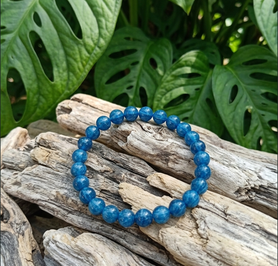bracelet circulaire composé de perles rondes en pierre d'un bleu profond et brillant. Le bijou est posé au centre sur un assemblage de morceaux de bois flotté clairs, secs et fortement texturés. L'arrière-plan est formé par de grandes feuilles de Monstera vert vif, caractérisées par leurs perforations naturelles typiques.