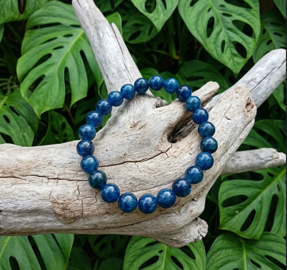 bracelet circulaire formé de grosses perles en pierre d'un bleu marine profond et brillant. Le bijou est installé au centre, enfilé autour d'une branche de bois flotté ramifiée, claire, sèche et joliment veinée. Le décor en arrière-plan dévoile un feuillage dense et tropical de Monstera aux feuilles d'un vert vif, parsemées de perforations caractéristiques.