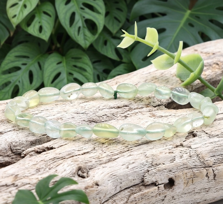 Un bracelet composé de perles de préhnite vert pâle, de forme irrégulière et semi-translucide, est posé sur un morceau de bois flotté texturé. Il est entouré d'un arrière-plan luxuriant de grandes feuilles de Monstera vertes et fenestrées. Une petite branche d'eucalyptus frais avec des feuilles est visible à l'arrière-plan droit.