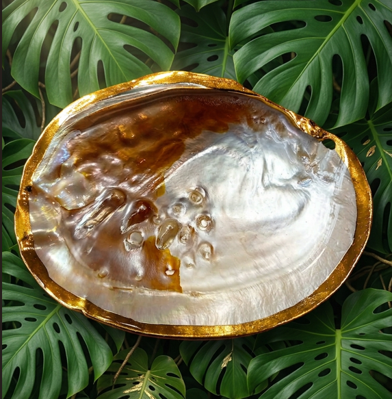 Une coquille perlière ornée dorée ovale aux reflets arc-en-ciel et dorés, soulignée par un contour en doré poli très brillant, repose au premier plan sur une large souche de bois flotté texturée. En arrière-plan, un feuillage dense et lumineux de Monstera apporte une touche végétale d'un vert profond qui fait ressortir l'éclat de la coquille.