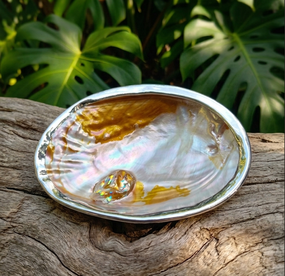Une coquille perlière ornée argent ovale aux reflets arc-en-ciel et dorés, soulignée par un contour en argent poli très brillant, repose au premier plan sur une large souche de bois flotté texturée. En arrière-plan, un feuillage dense et lumineux de Monstera apporte une touche végétale d'un vert profond qui fait ressortir l'éclat de la coquille.