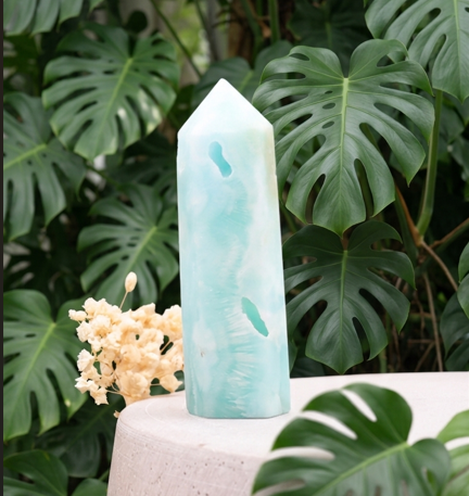 Une pointe de cristal d'aragonite bleu turquoise clair, polie et comportant de petites cavités naturelles, est posée debout sur un socle en béton blanc. À sa gauche se trouve un petit bouquet de fleurs séchées beige clair. L'arrière-plan est entièrement composé d'un feuillage dense et verdoyant de plantes monstera aux grandes feuilles découpées caractéristiques.