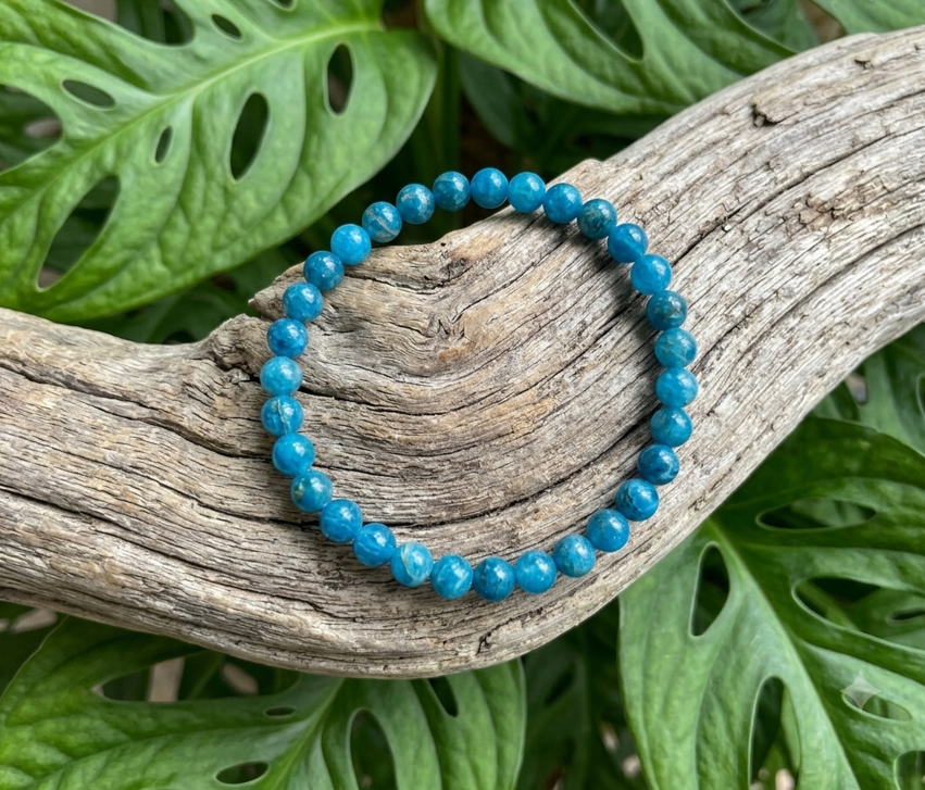 Un bracelet circulaire composé de petites perles rondes en pierre d'un bleu turquoise intense, de 4 mm de diamètre. Le bracelet est délicatement posé à plat sur une branche de bois flotté texturée et grisâtre. En arrière-plan, on aperçoit de grandes feuilles vertes et découpées de Monstera qui apportent une touche naturelle et végétale.