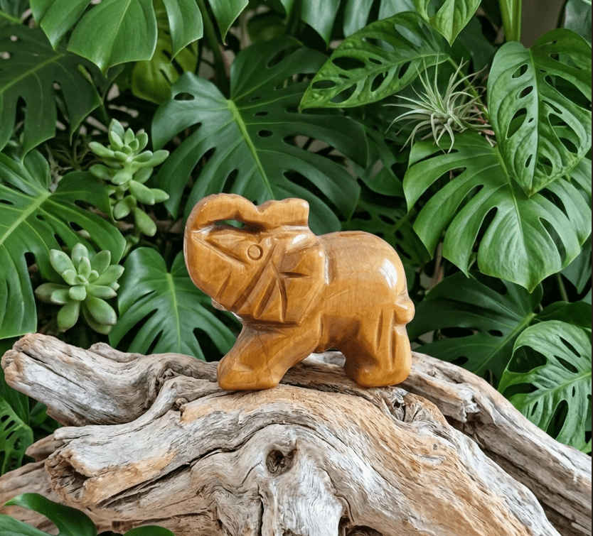 Une figurine d'éléphant sculptée dans une pierre de couleur miel repose sur une grosse branche de bois flotté vieillie. En arrière-plan, se trouve un feuillage vert dense composé de feuilles de monstera et de plantes succulentes.